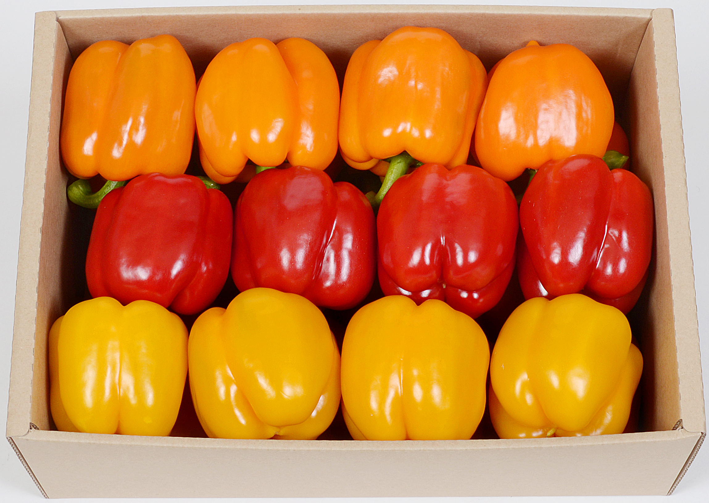 이미지 상세보기