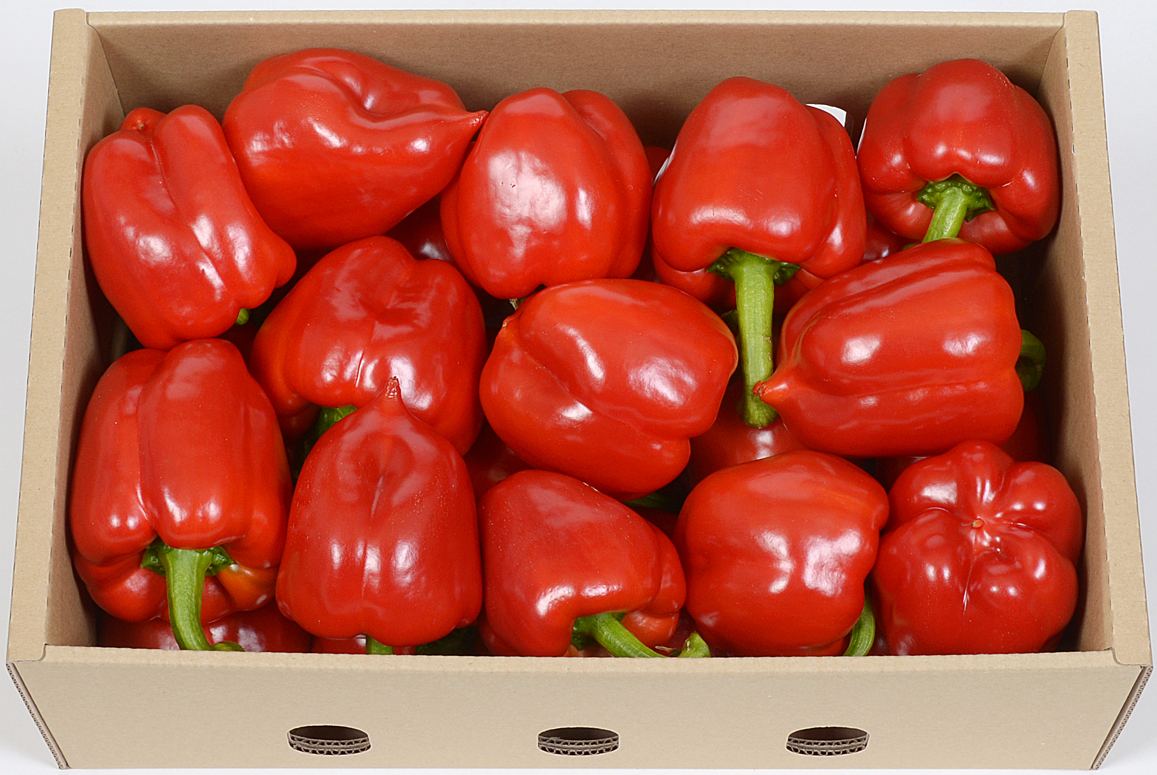 이미지 상세보기